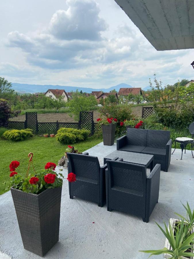 Mala Oaza Apartment Cacak Bagian luar foto